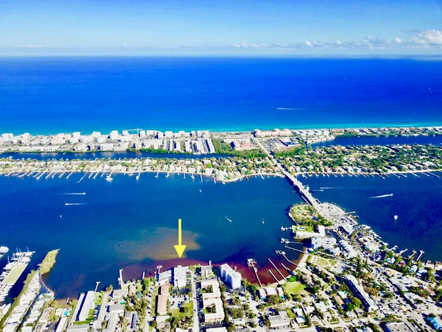 a view of a lake with a city view