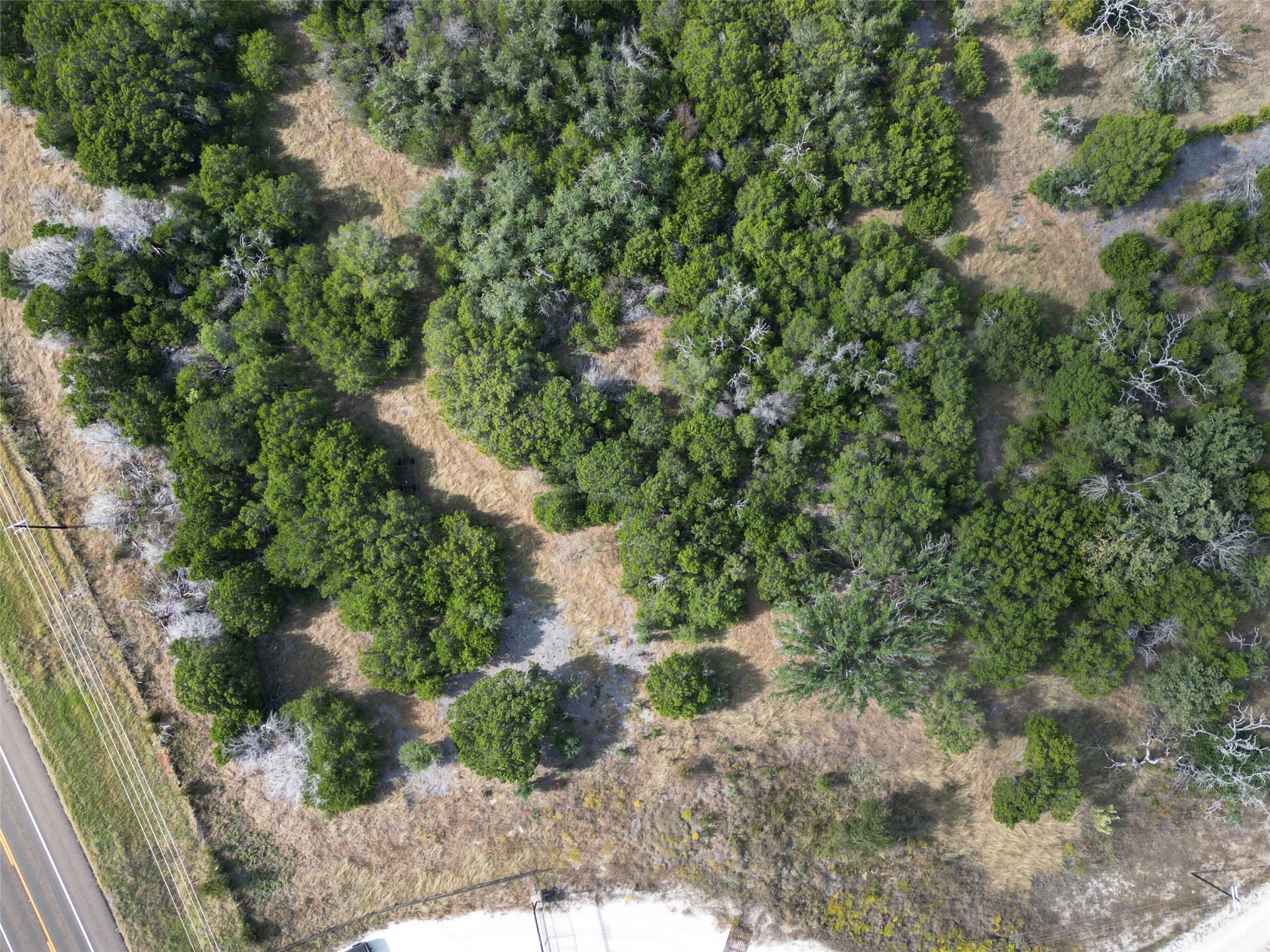 1 Stone Crk Ranch Drive Evant, TX 76525 - Photo 3 of 7 a view of a forest with a tree
