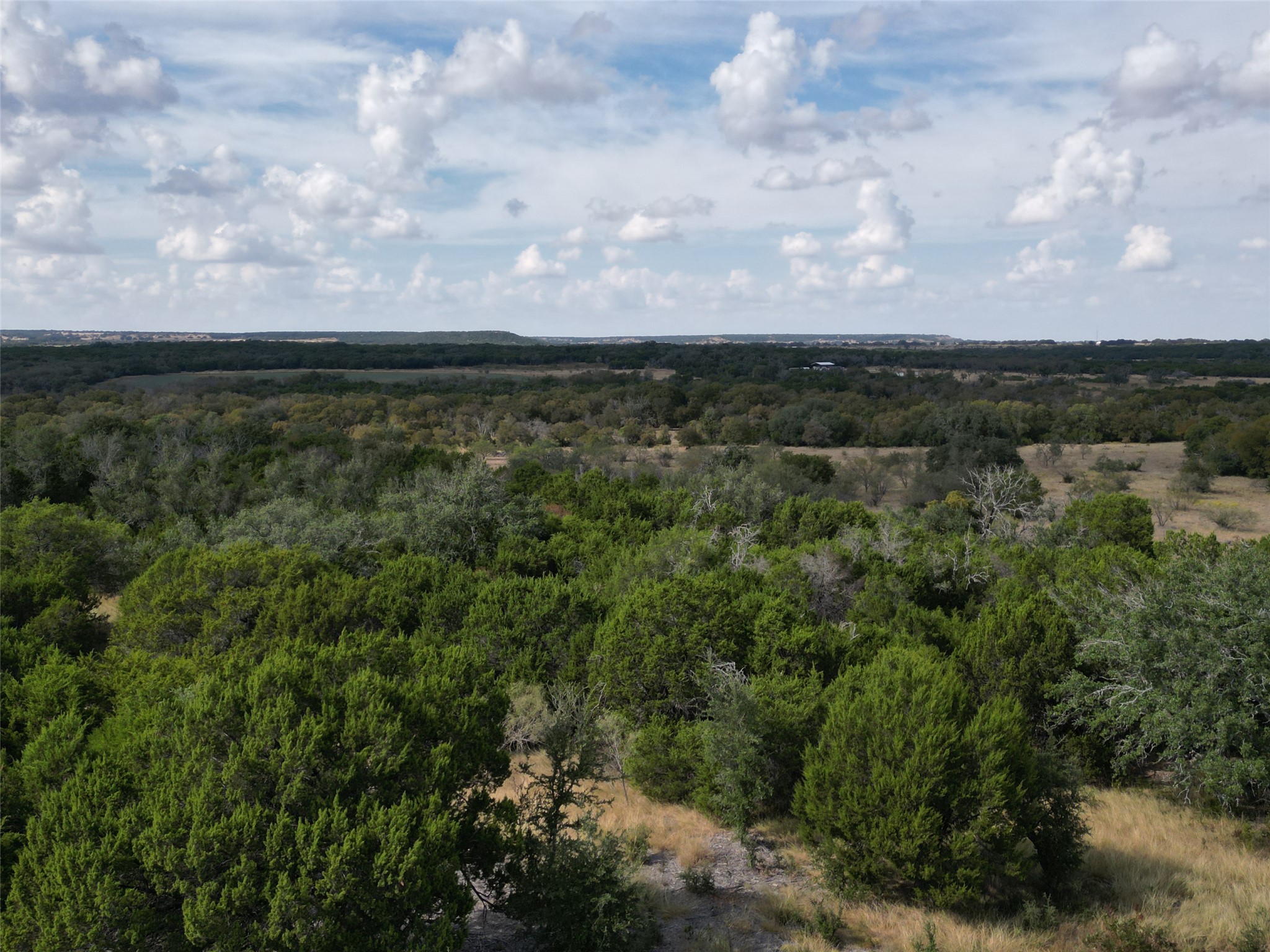 1 Stone Crk Ranch Drive Evant, TX 76525 - Photo 4 of 7 a view of a yard