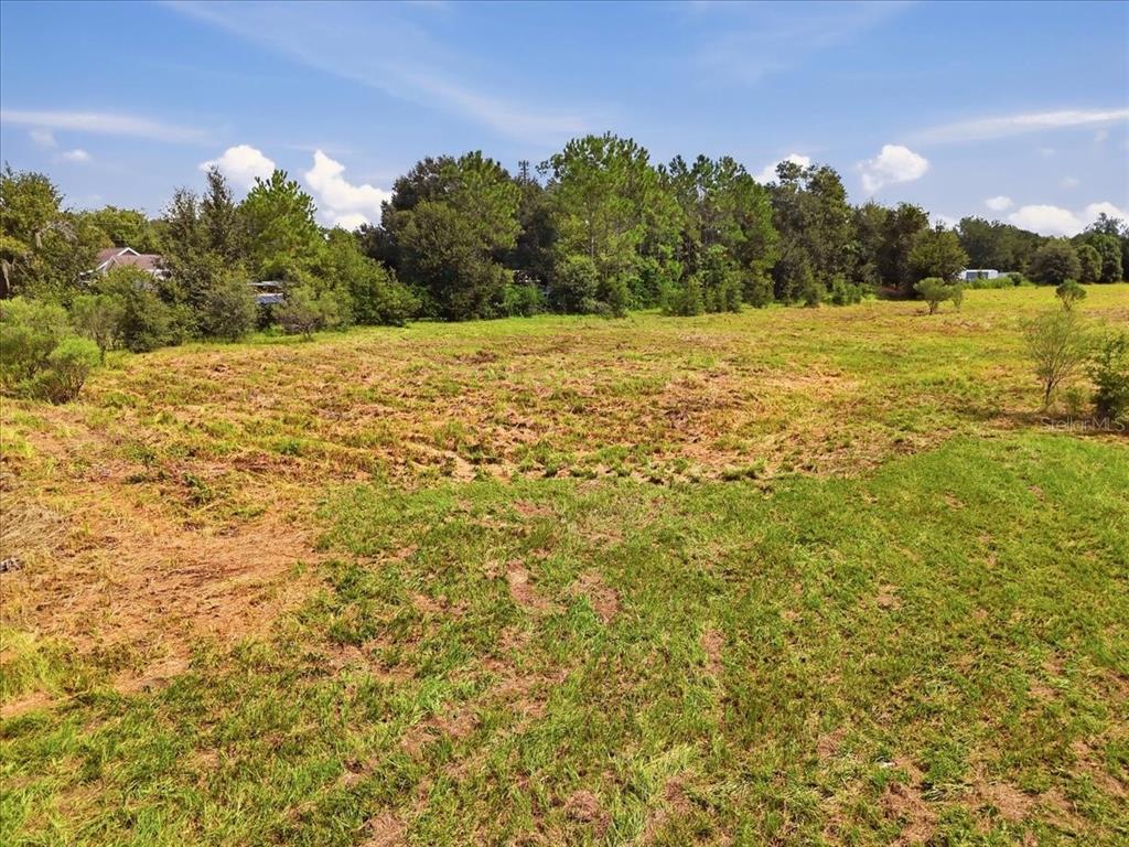 2929 Al Simmons Road Dover, FL 33527 - Photo 18 of 30 Gallery Image 18
