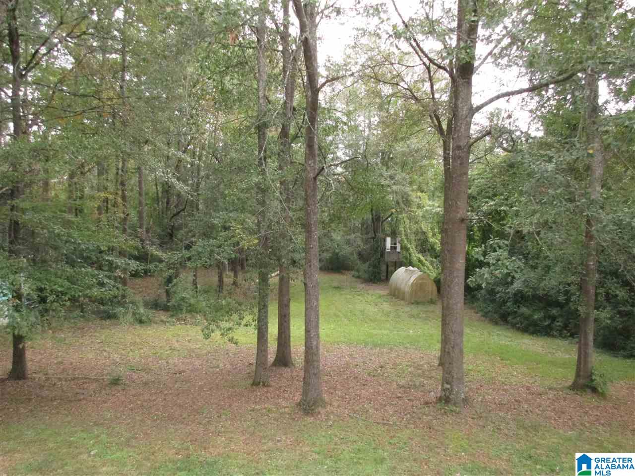 3293 Overton Trail Birmingham, AL 35243 - Photo 8 of 36