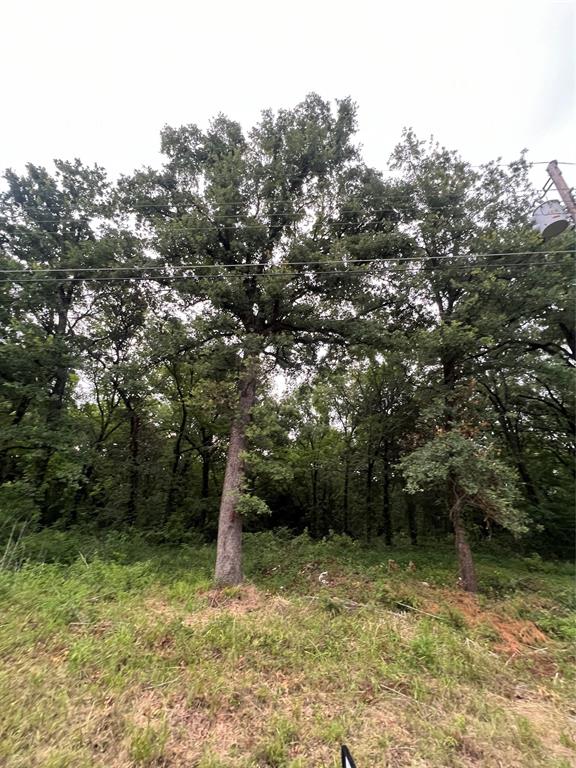 115 Inca Trail Mabank, TX 75156 - Photo 1 of 2 a backyard of a house with lots of green space