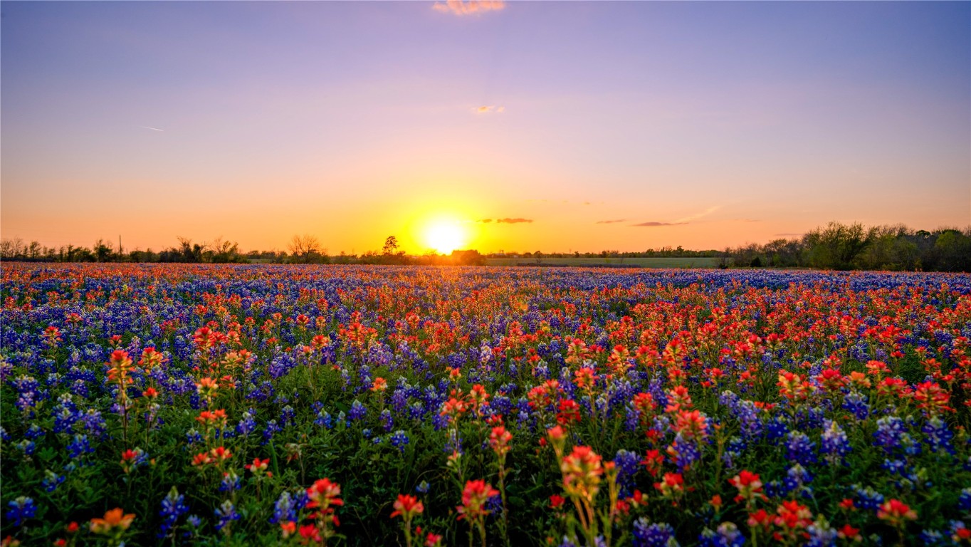 5701 Bovista Road Navasota, TX 77868 - Photo 1 of 12