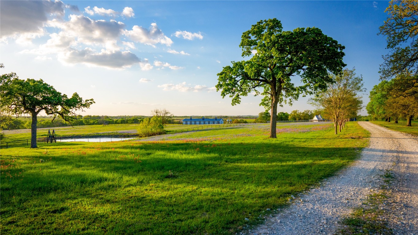 5701 Bovista Road Navasota, TX 77868 - Photo 5 of 12