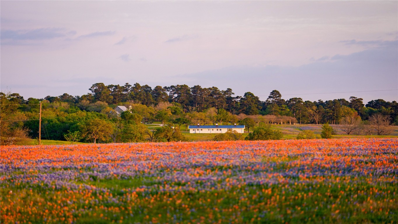 5701 Bovista Road Navasota, TX 77868 - Photo 8 of 12