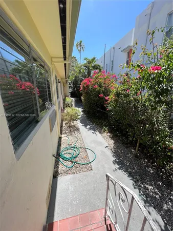 a view of a potted flower in the corridor