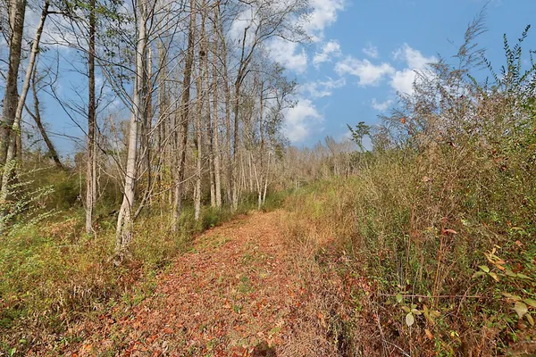 $475,000 | 13145 Ga Highway, Cataula, GA 31804