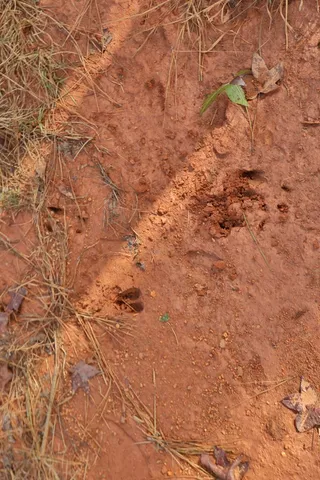 an outdoor space with swimming pool and furniture
