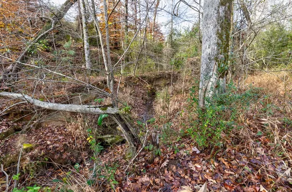 $475,000 | 13145 Ga Highway, Cataula, GA 31804