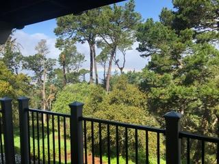 250 Forest Ridge Road, Unit 11 Monterey, CA 93940 - Photo 1 of 31 Gallery Image 1