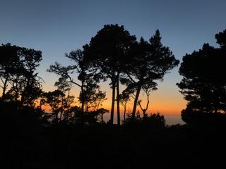 250 Forest Ridge Road, Unit 11 Monterey, CA 93940 - Photo 27 of 31 Gallery Image 27