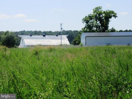 11932 Maiden Point Farm Road Newburg, MD 20664 - Photo 29 of 30 Horse Stables / Barns