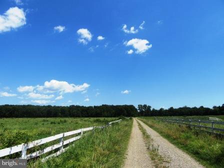 11932 Maiden Point Farm Road Newburg, MD 20664 - Photo 5 of 30 Tranquil and Peaceful