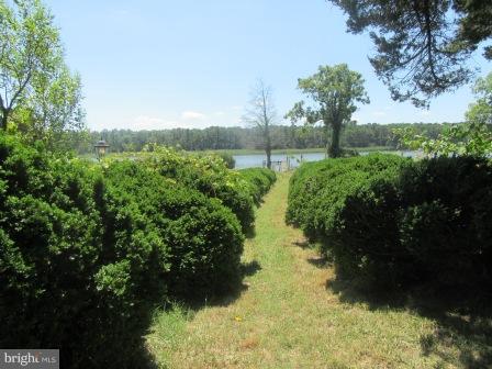 11932 Maiden Point Farm Road Newburg, MD 20664 - Photo 7 of 30 get your Hedge Clippers out for better view