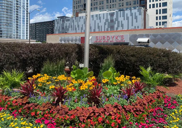 $475,000 | 613 Harrison Street Northeast, Minneapolis, MN 55413