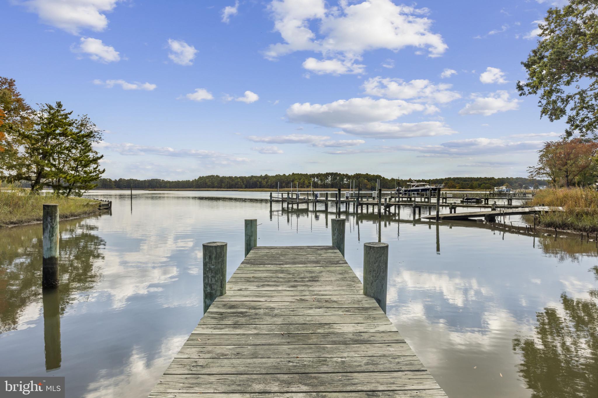 162 Kirwans Landing Lane Chester, MD 21619 - Photo 2 of 41