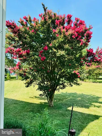 $979,000 | 162 Kirwans Landing Lane, Chester, MD 21619