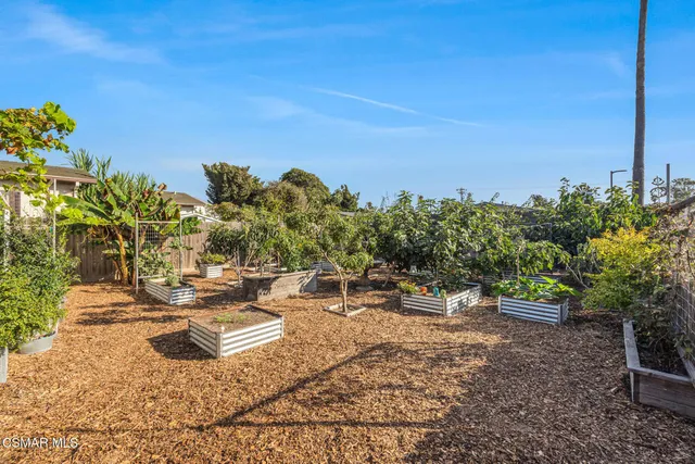 a view of a backyard with plants and chairs
