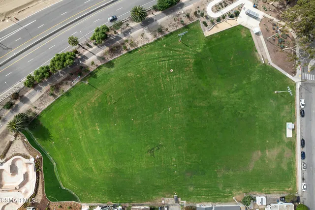 a backyard with potted plants and large trees