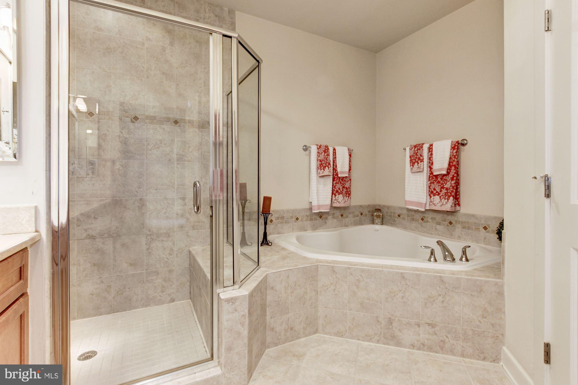 9537 Ament Street Silver Spring, MD 20910 - Photo 38 of 57 MASTER BATH FEATURES BOTH SHOWER & TUB
