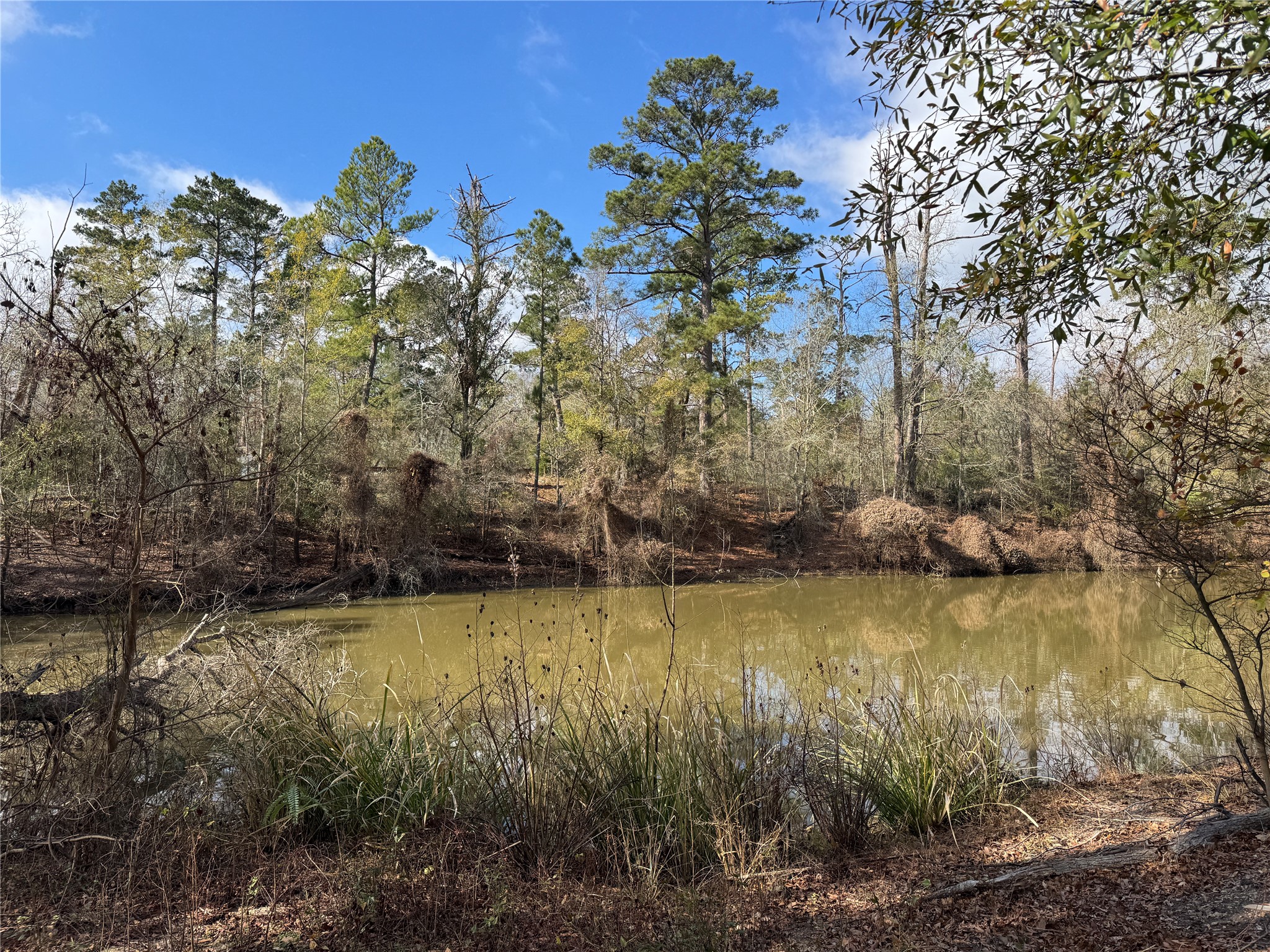 55 Lake Road Huntsville, TX 77320 - Photo 49 of 50
