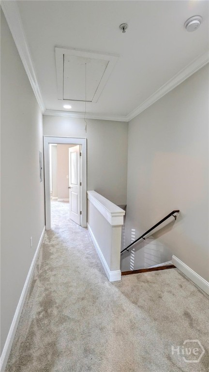 1500 Timothy Road, Unit A4 Athens, GA 30606 - Photo 23 of 35