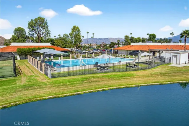a view of a park with large trees