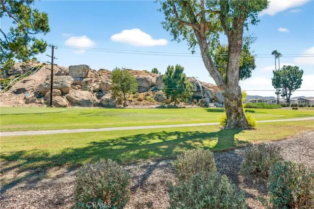 a view of a yard with a large trees