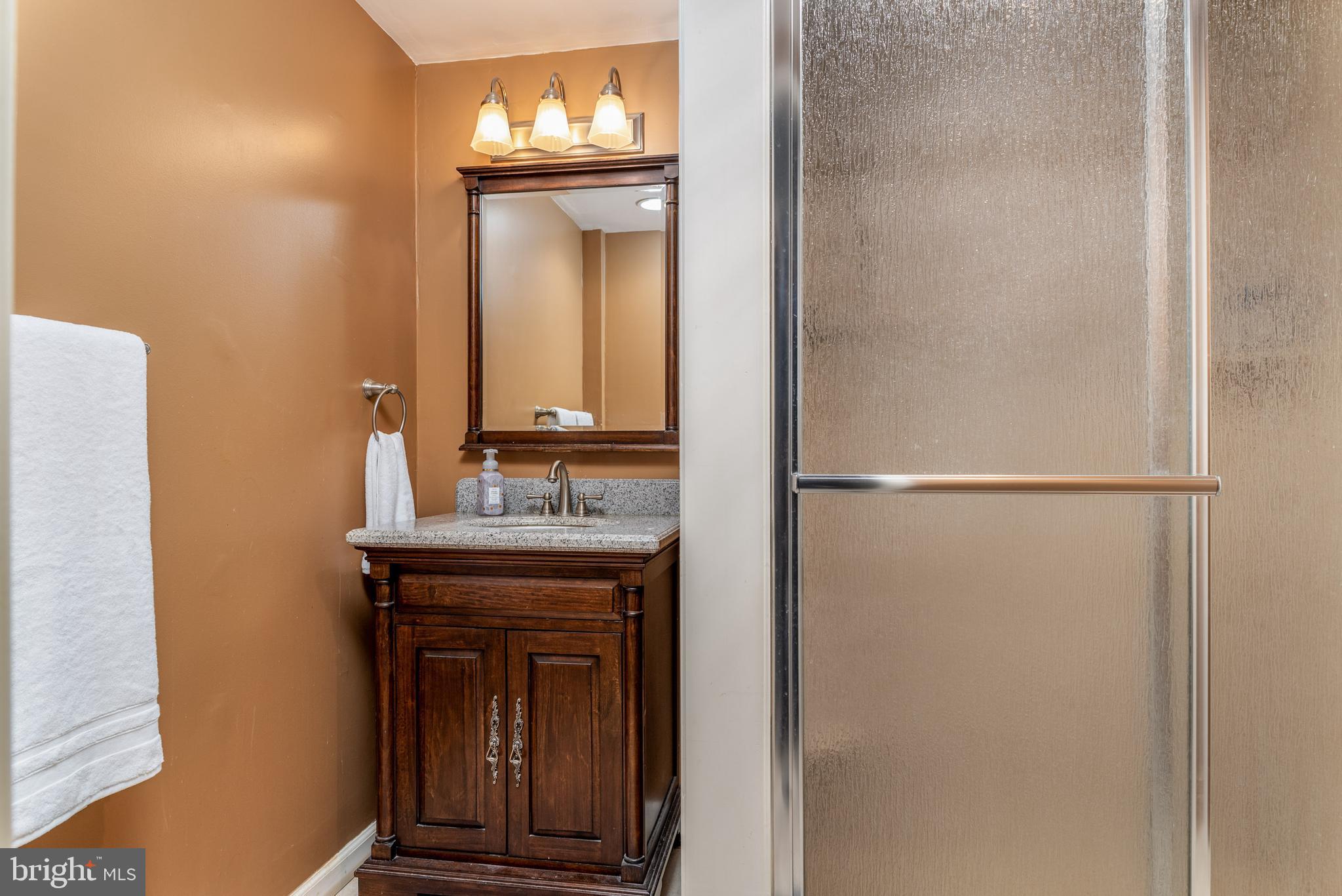 890 Springbank Lane Wayne, PA 19087 - Photo 43 of 46 Basement en suite bath