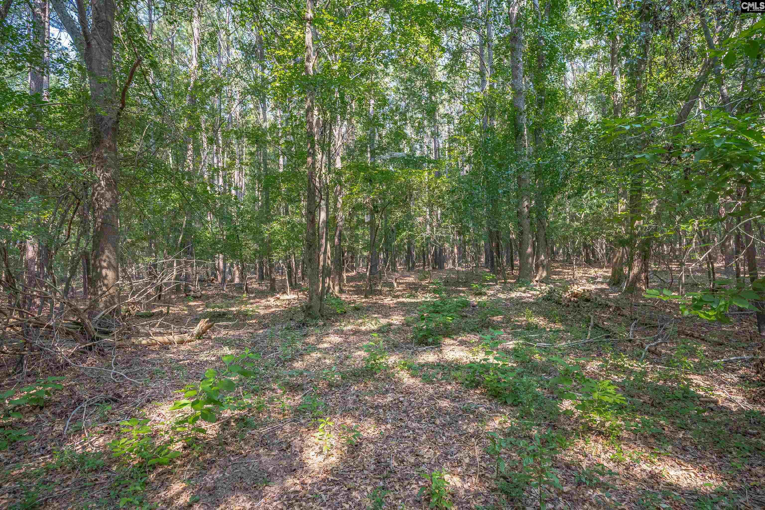637 Belfast Road Newberry, SC 29108 - Photo 34 of 74