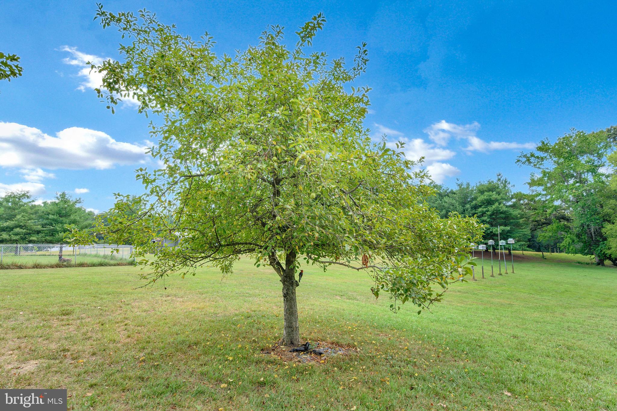 4286 Comanche Ridge King George, VA 22485 - Photo 39 of 44 Gallery Image 39