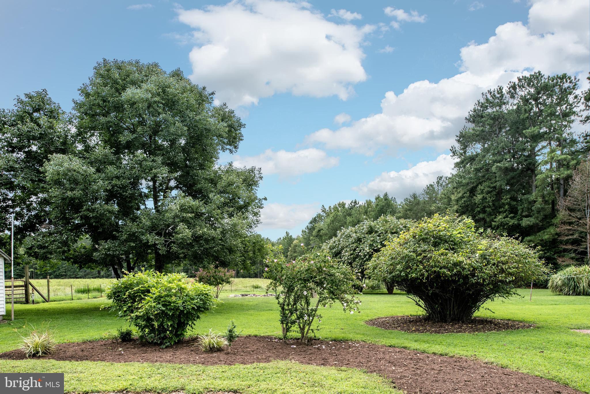 15390 Round Hill Road King George, VA 22485 - Photo 16 of 104 View of immediate back yard!