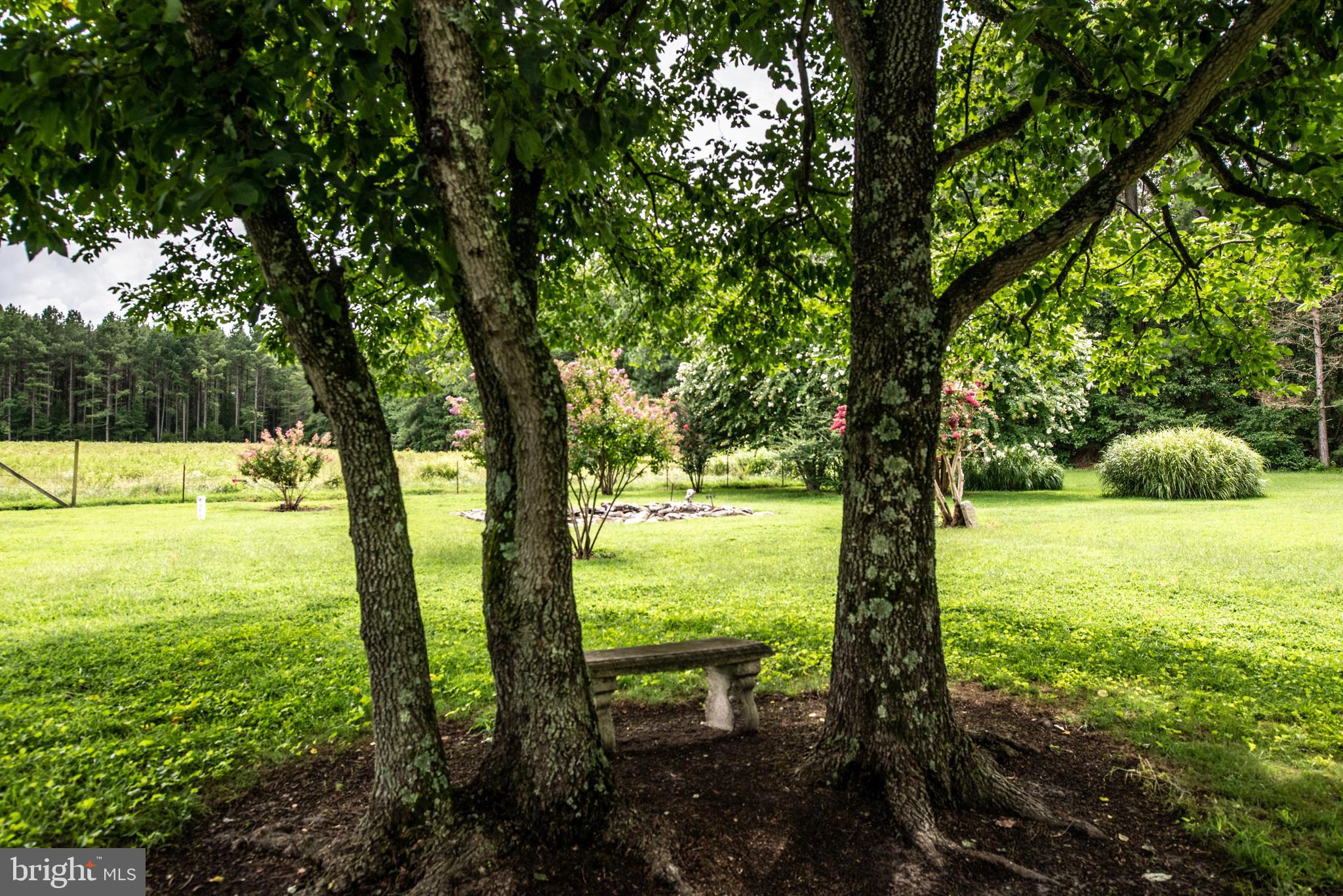 15390 Round Hill Road King George, VA 22485 - Photo 17 of 104 One of many shady spots to relax!