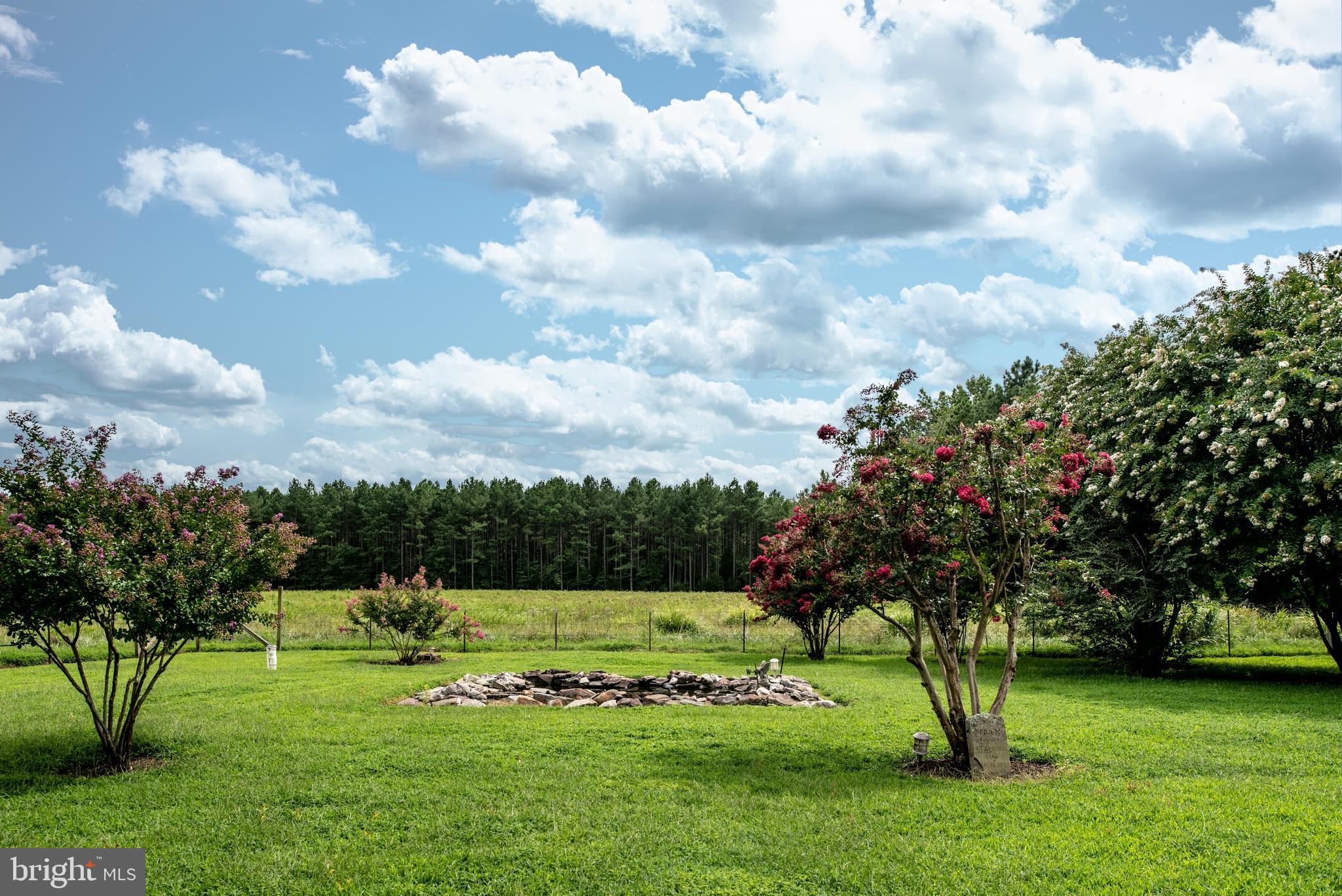 15390 Round Hill Road King George, VA 22485 - Photo 18 of 104 View of back yard! Blooming Crepe Myrtles!