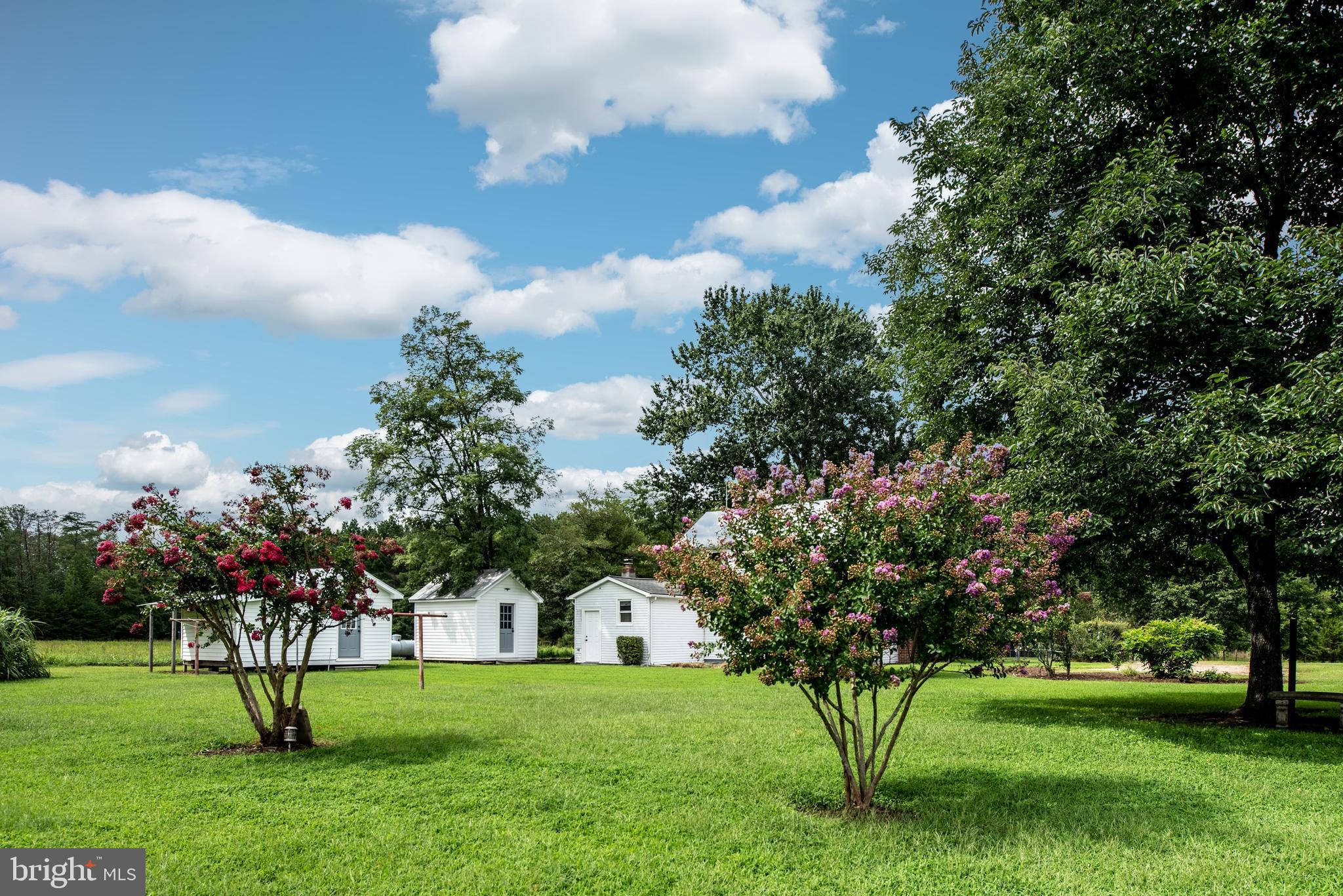 15390 Round Hill Road King George, VA 22485 - Photo 21 of 104 View of back yard toward back of home!