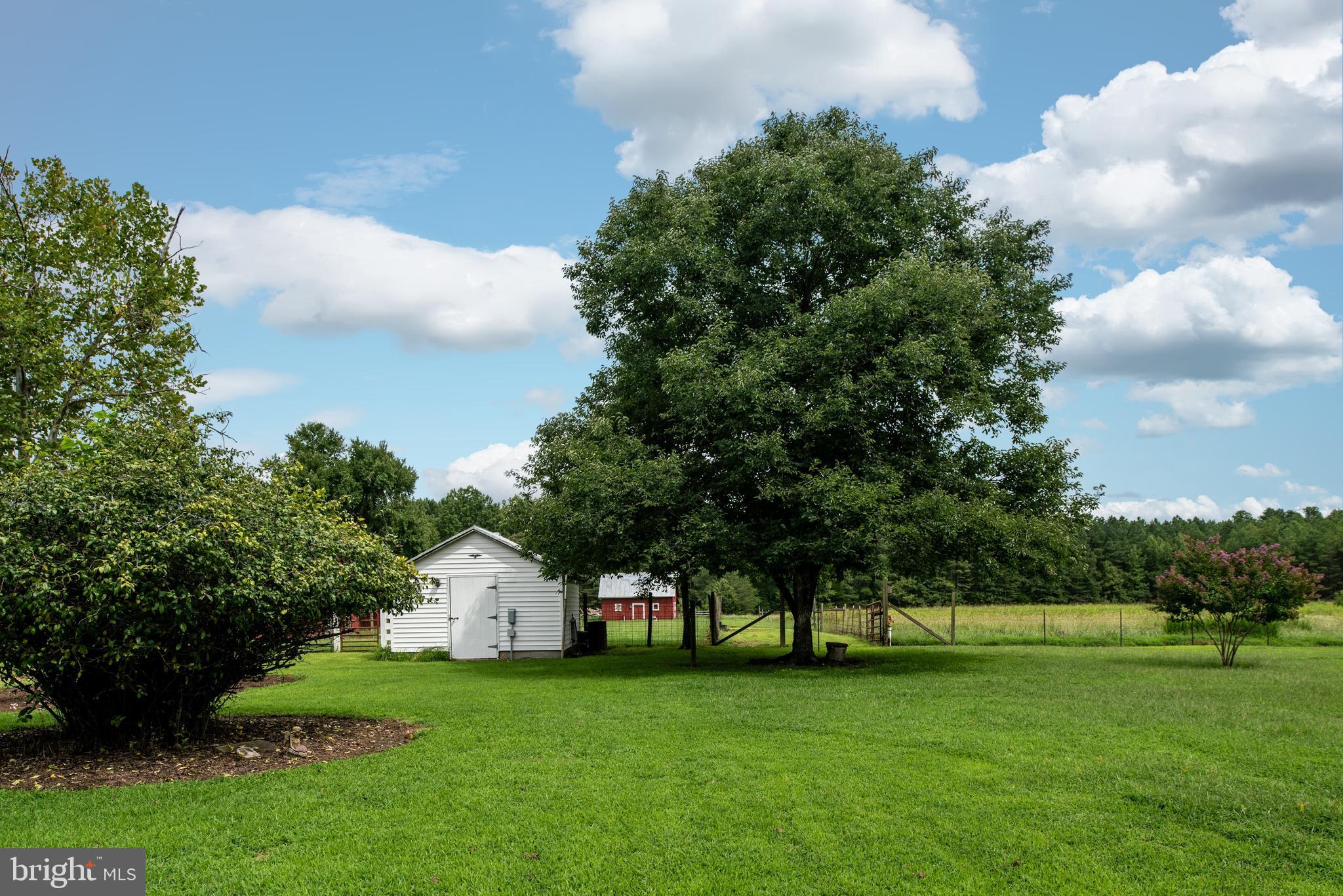 15390 Round Hill Road King George, VA 22485 - Photo 22 of 104 View of back yard toward back field & tool shed!