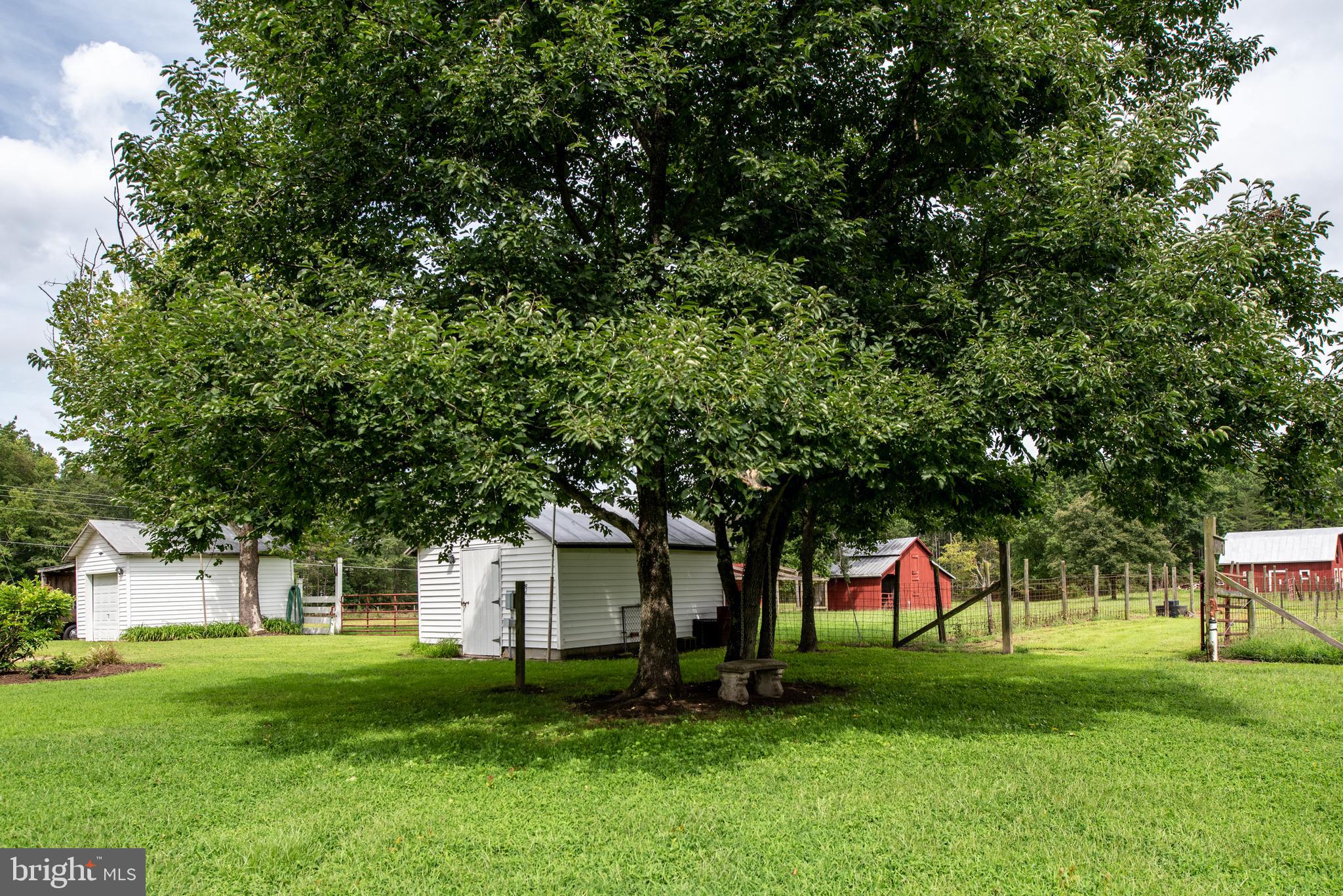 15390 Round Hill Road King George, VA 22485 - Photo 24 of 104 Tool shed has generator hook up!