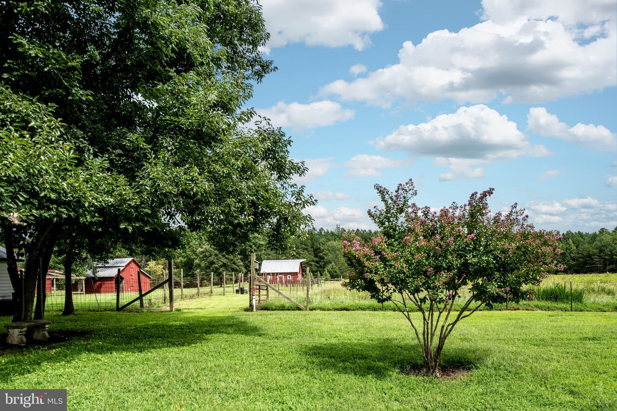 15390 Round Hill Road King George, VA 22485 - Photo 25 of 104 View of back pasture entrance from back yard!