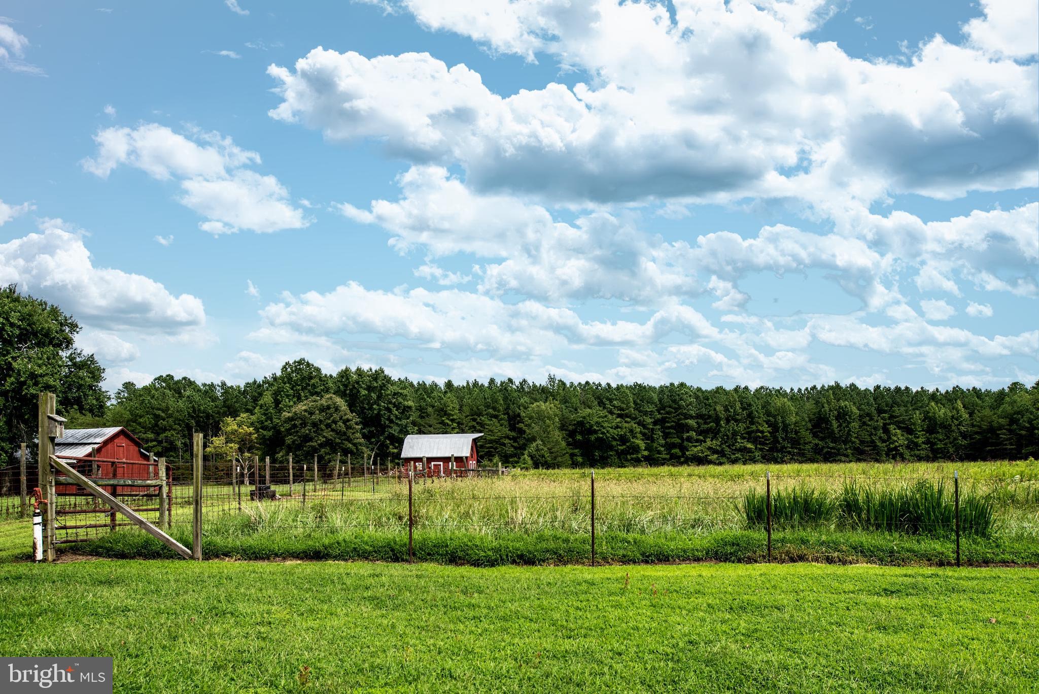 15390 Round Hill Road King George, VA 22485 - Photo 26 of 104 View of back field & outbuildings! Water spigot!