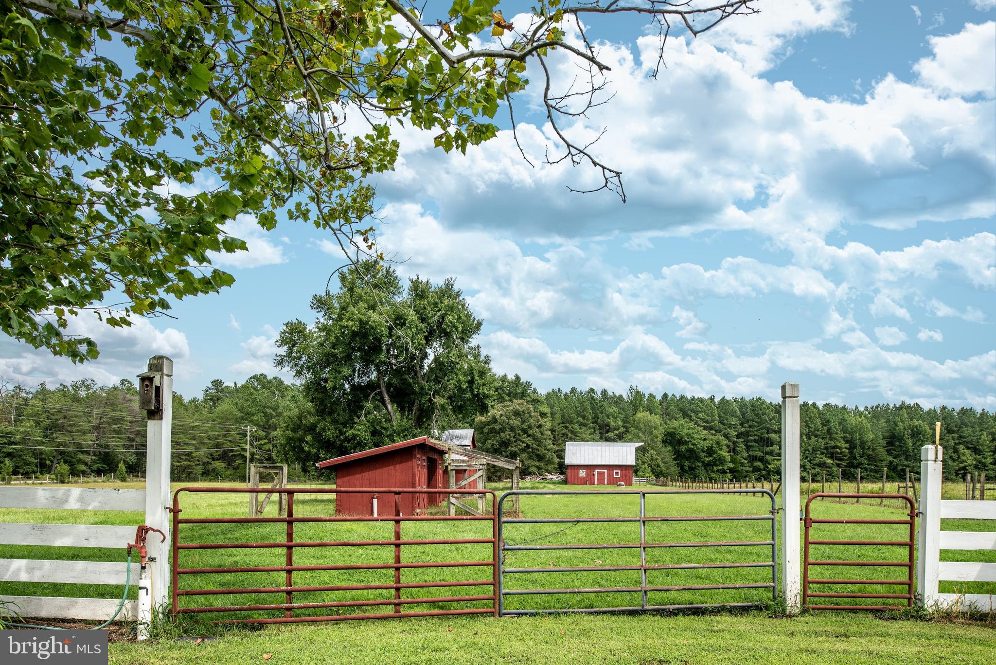 15390 Round Hill Road King George, VA 22485 - Photo 28 of 104 Entrance to front pasture! Water spigot!