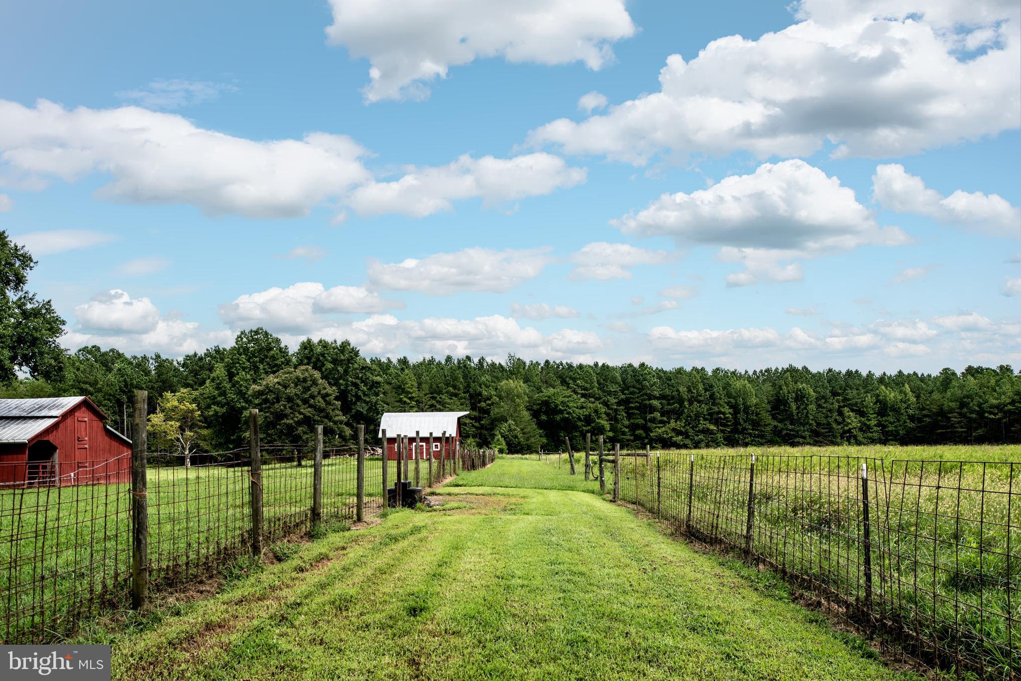 15390 Round Hill Road King George, VA 22485 - Photo 29 of 104 Path between front & back fenced in pastures!