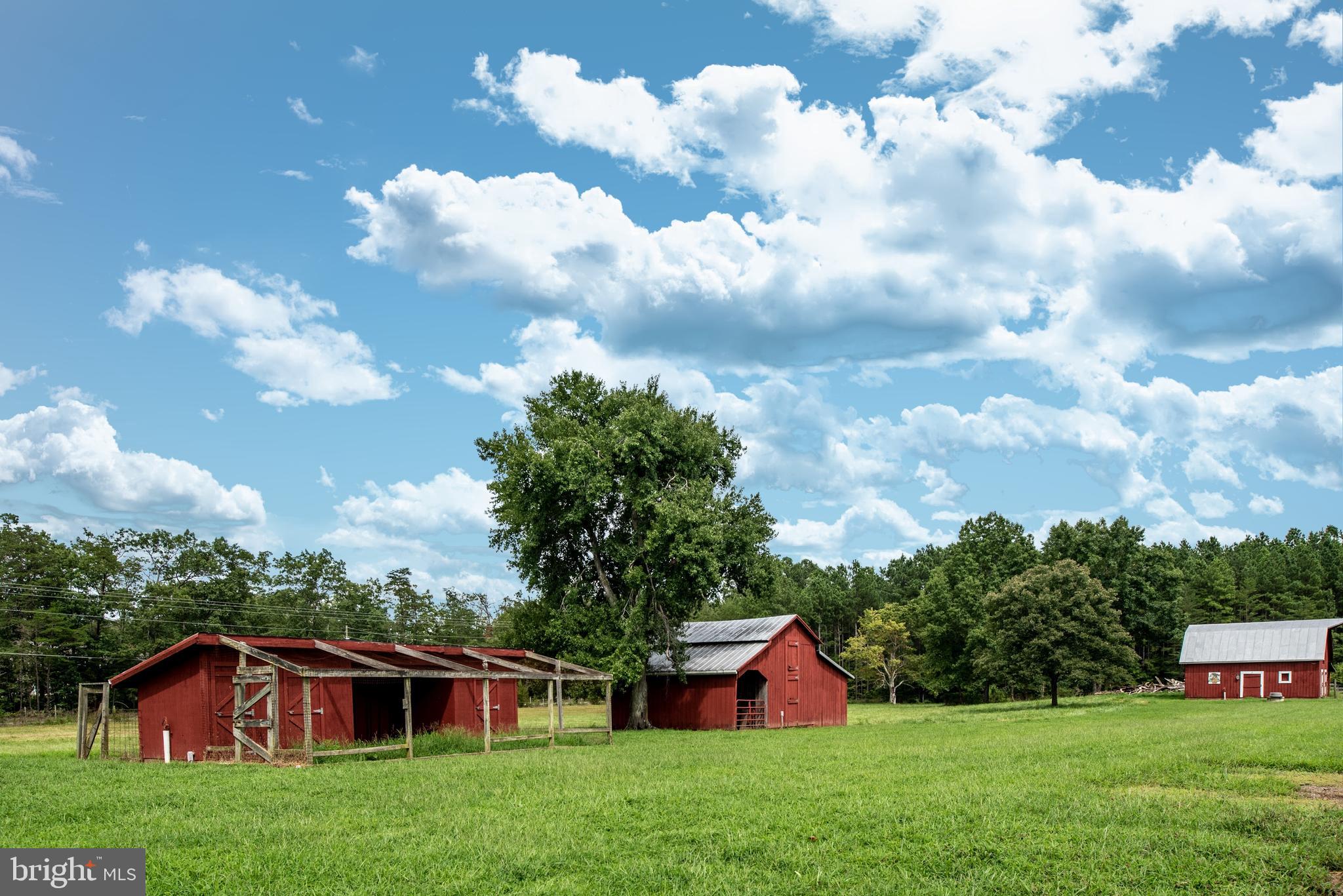 15390 Round Hill Road King George, VA 22485 - Photo 30 of 104 View of outbuildings! All have water & electric!