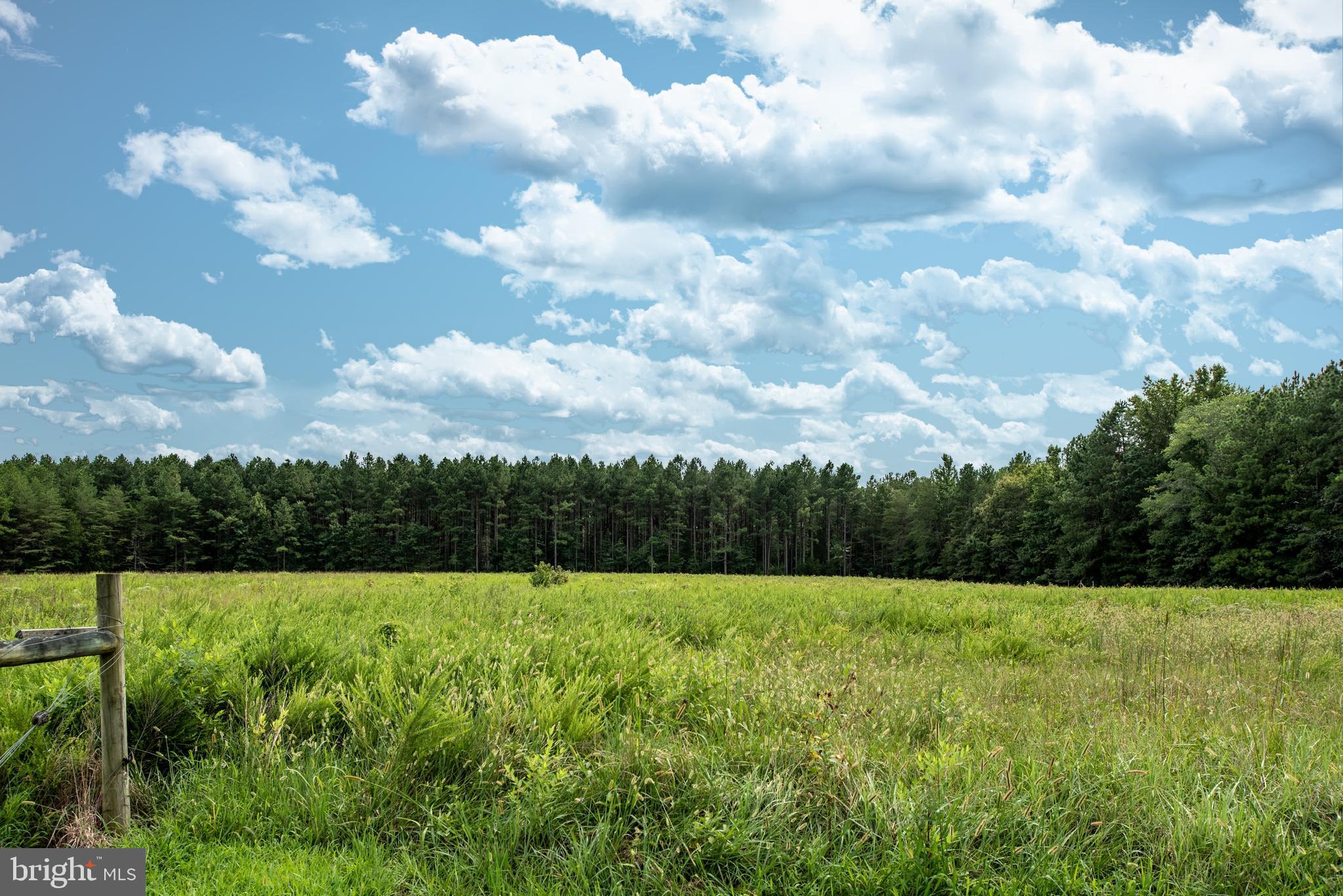 15390 Round Hill Road King George, VA 22485 - Photo 35 of 104 View of back fenced in pasture!