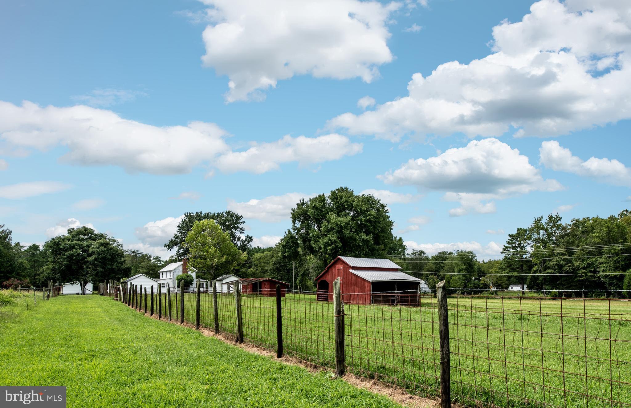 15390 Round Hill Road King George, VA 22485 - Photo 39 of 104 View from back field towards home!