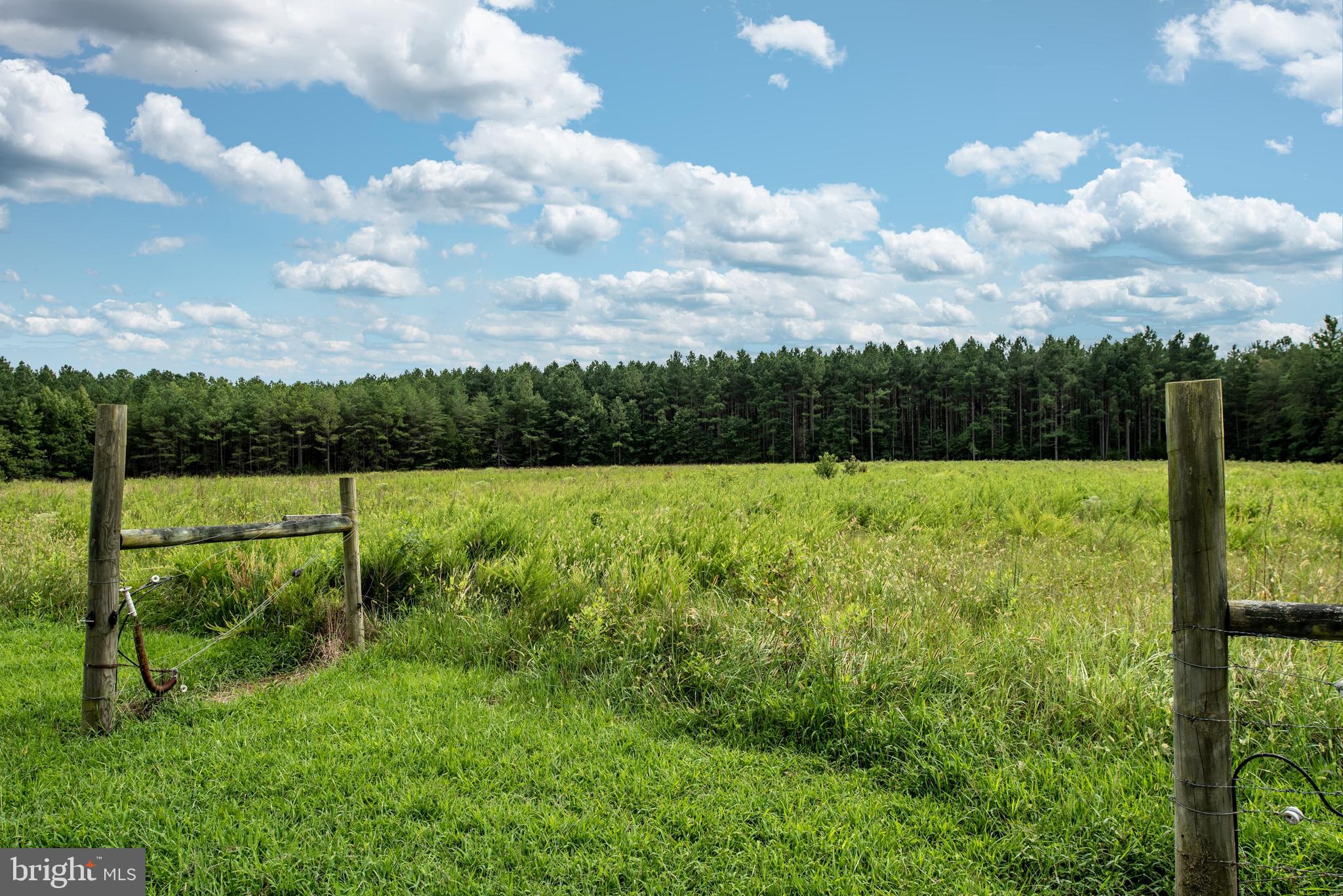15390 Round Hill Road King George, VA 22485 - Photo 40 of 104 Another view of back pasture!
