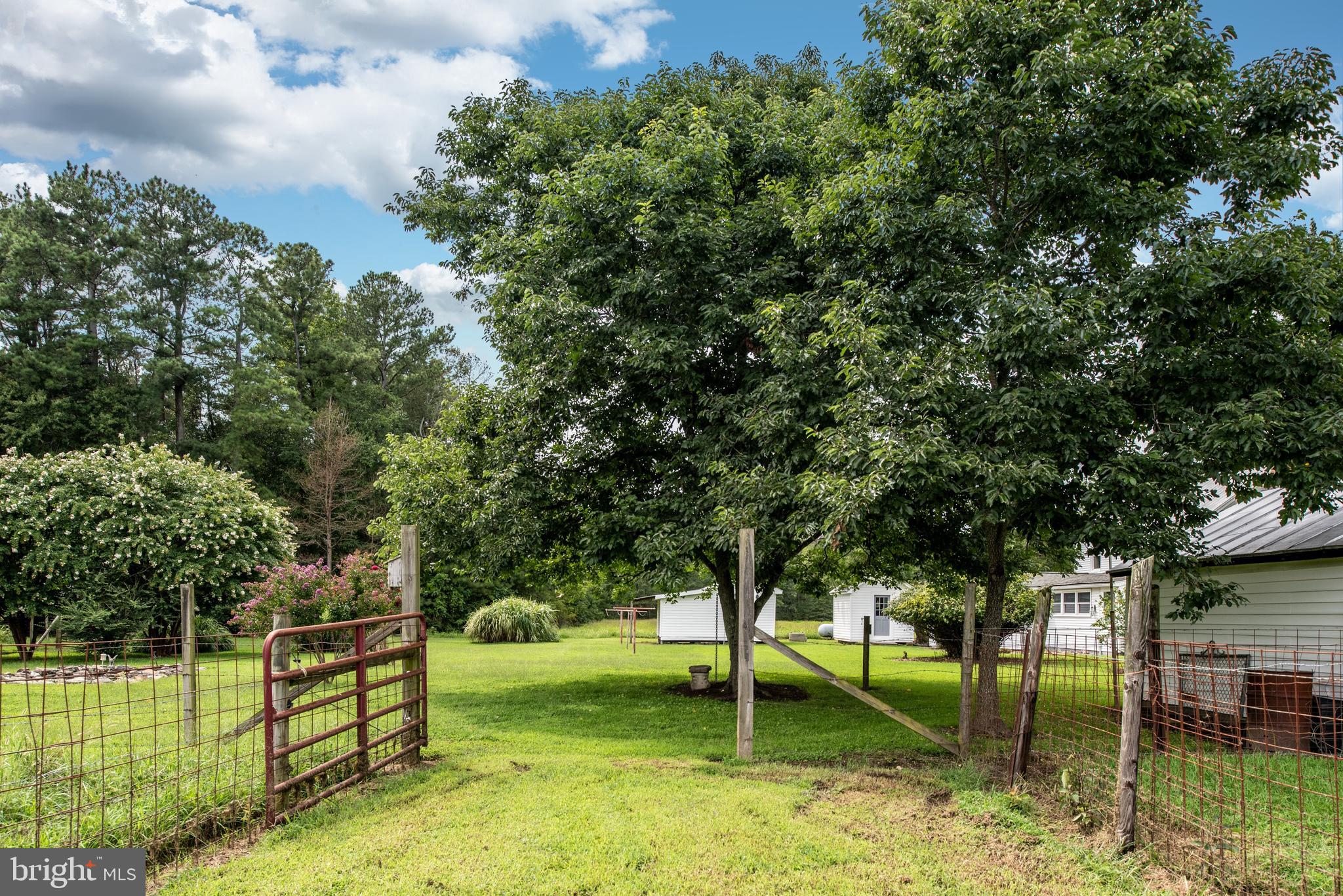 15390 Round Hill Road King George, VA 22485 - Photo 41 of 104 View leaving front pasture towards home!