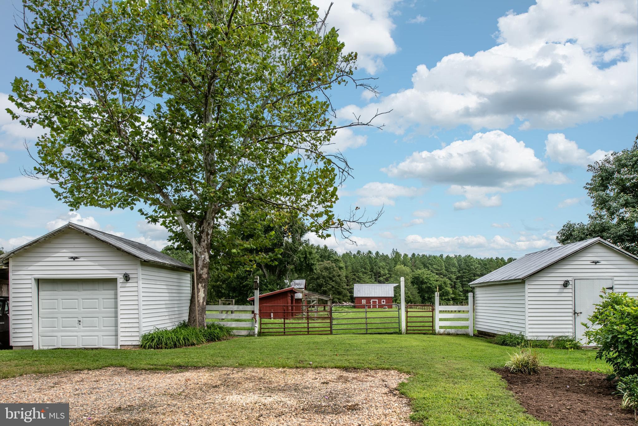 15390 Round Hill Road King George, VA 22485 - Photo 9 of 104 View from driveway towards outbuildings!