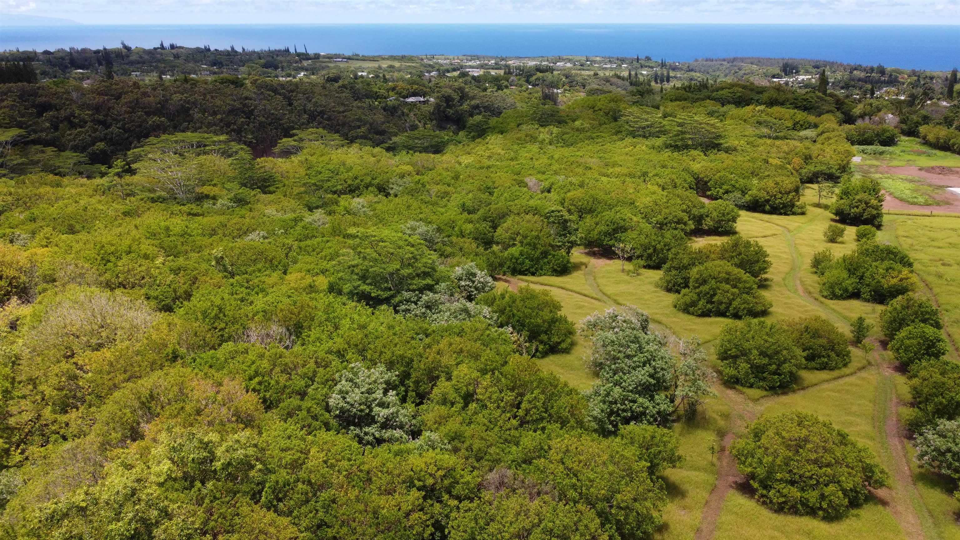 616 West Kuiaha Road Haiku, HI 96708 - Photo 1 of 30 an aerial view of a houses with a lush green hillside