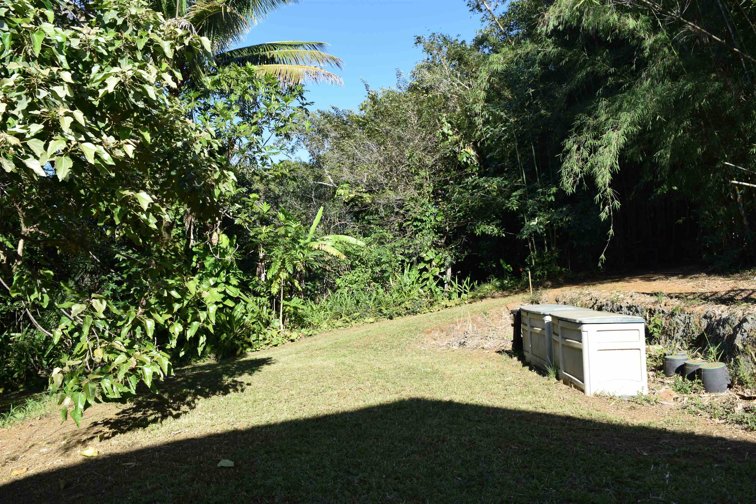 616 West Kuiaha Road Haiku, HI 96708 - Photo 12 of 30 a view of outdoor space and yard