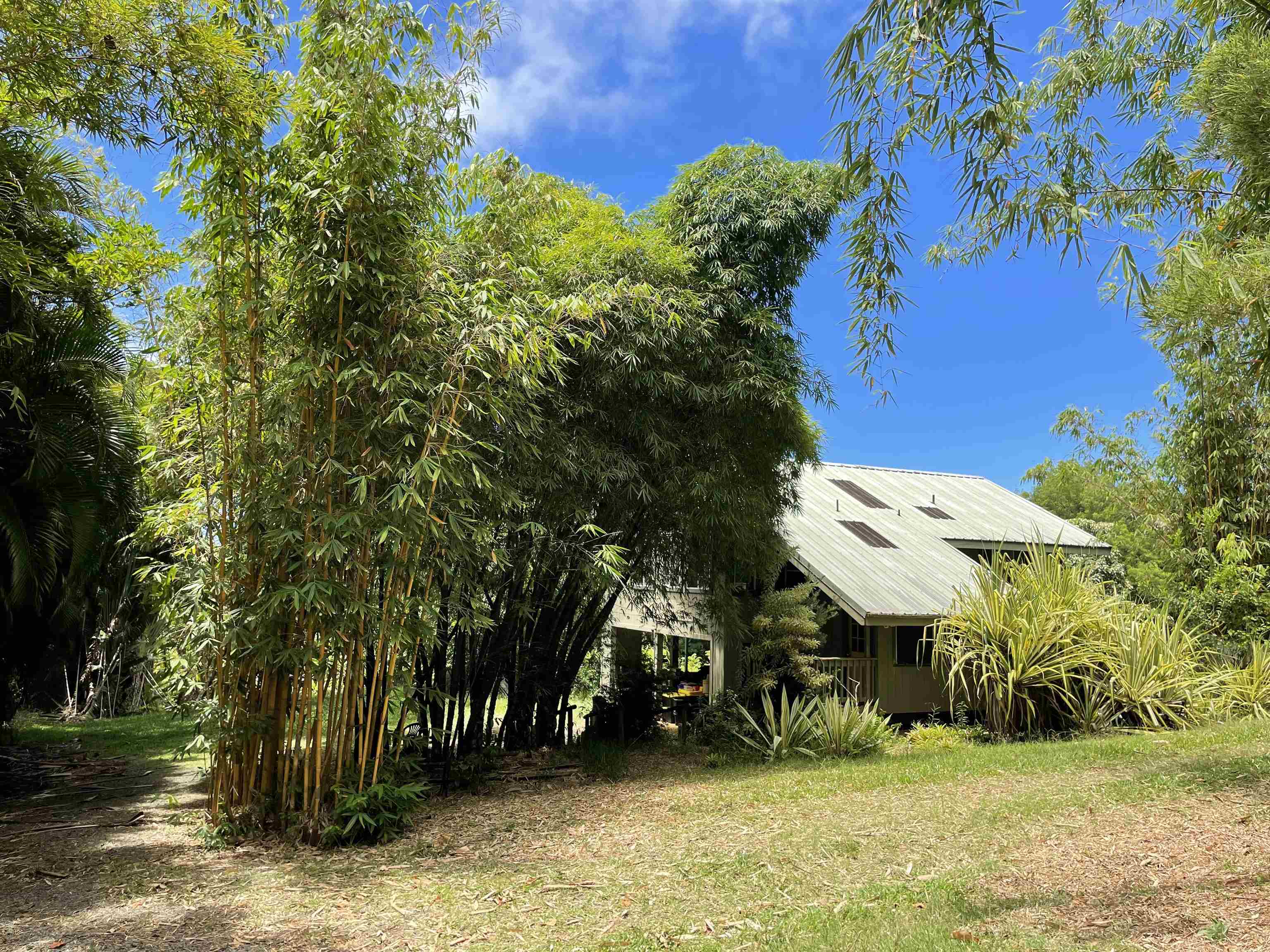 616 West Kuiaha Road Haiku, HI 96708 - Photo 8 of 30 a view of outdoor space and yard